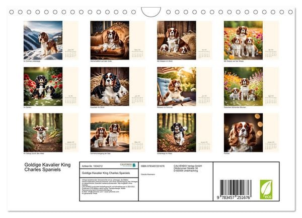 Produktbild: Goldige Kavalier King Charles Spaniels (Wandkalender 2026 DIN A4 quer), CALVENDO Monatskalender