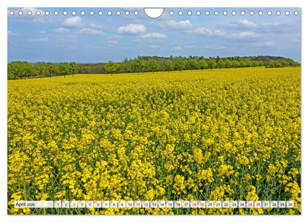 Produktbild: Die Eifel und das Hohe Venn (Wandkalender 2026 DIN A4 quer), CALVENDO Monatskalender