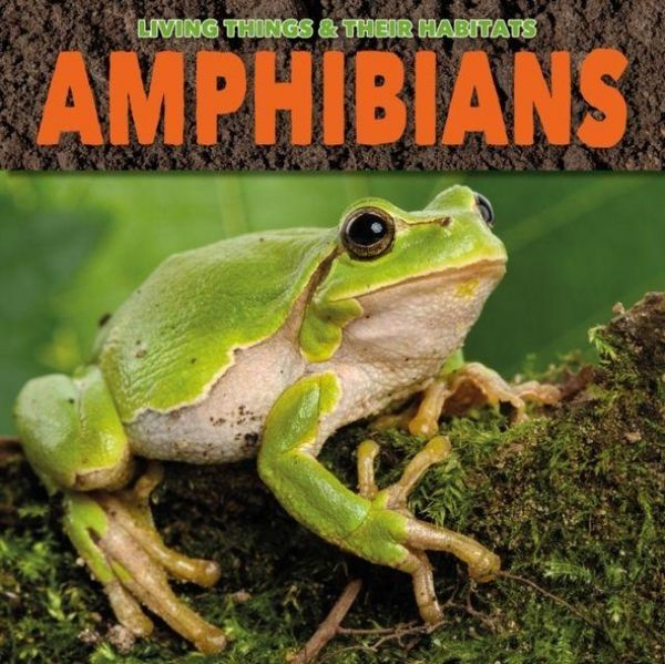 Produktbild: Amphibians
