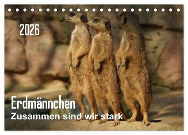 Erdmännchen – Zusammen sind wir stark / CH-Version (Tischkalender 2026 DIN A5 quer), CALVENDO Monatskalender