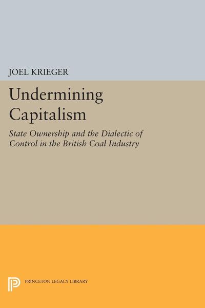 Produktbild: Undermining Capitalism