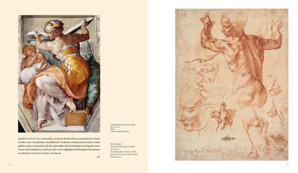 Produktbild: Michelangelo und die Folgen