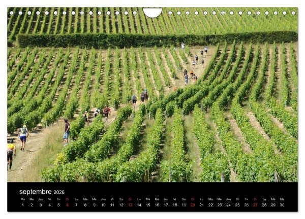 Produktbild: Trail Running De l'Envie &agrave; la Passion (Calendrier mural 2026 DIN A4 vertical), CALVENDO calendrier mensuel