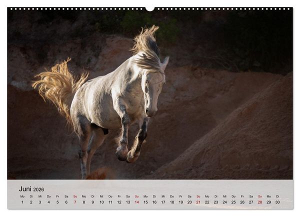 Produktbild: Pferde 2026 Kraft und Anmut (hochwertiger Premium Wandkalender 2026 DIN A2 quer), Kunstdruck in Hochglanz