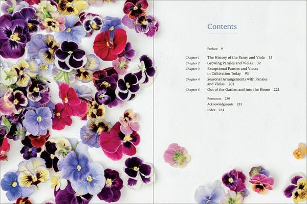 Produktbild: Pansies