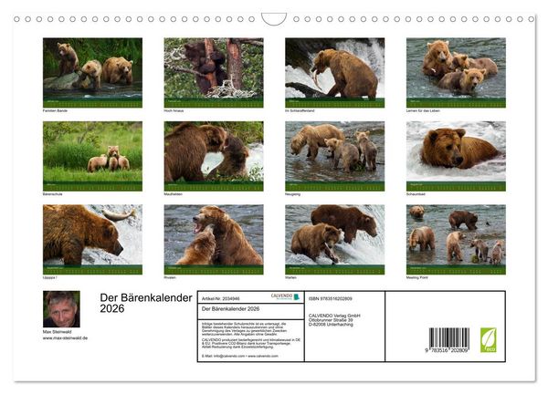 Produktbild: Der B&auml;renkalender 2026 (Wandkalender 2026 DIN A3 quer), CALVENDO Monatskalender