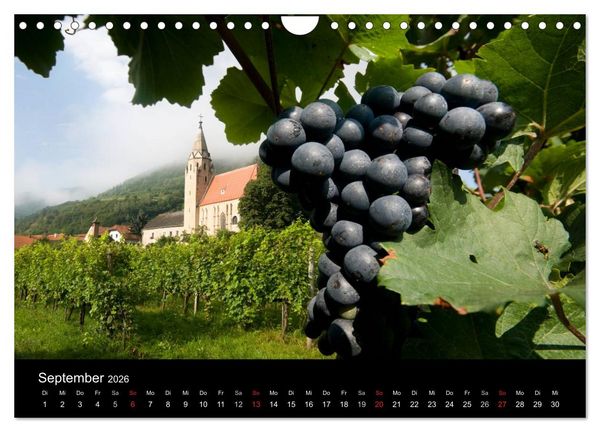 Produktbild: Wachau, Wachau, du Tr&auml;umerin (Wandkalender 2026 DIN A4 quer), CALVENDO Monatskalender