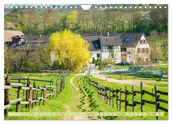 Produktbild: Rheinhessen-Impressionen (Wandkalender 2026 DIN A4 quer), CALVENDO Monatskalender