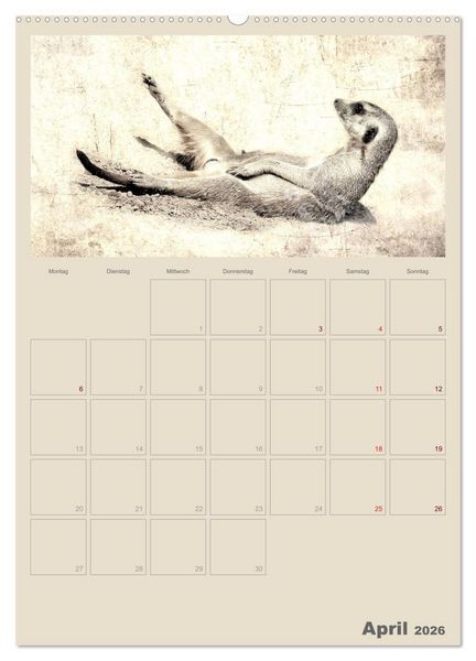 Produktbild: Lustige Erdm&auml;nnchen (Wandkalender 2026 DIN A2 hoch), CALVENDO Monatskalender