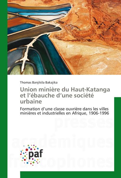 Produktbild: Union mini&egrave;re du Haut-Katanga et l'&eacute;bauche d'une soci&eacute;t&eacute; urbaine