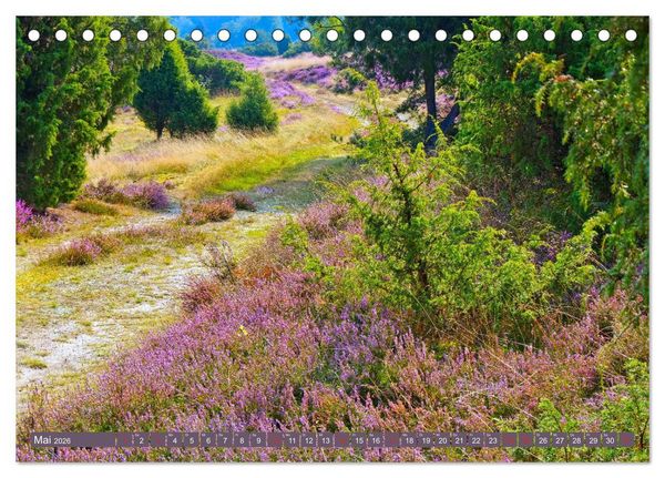 Produktbild: L&uuml;neburger Heide - Wanderung rund um Wilsede und Totengrund (Tischkalender 2026 DIN A5 quer), CALVENDO Monatskalender