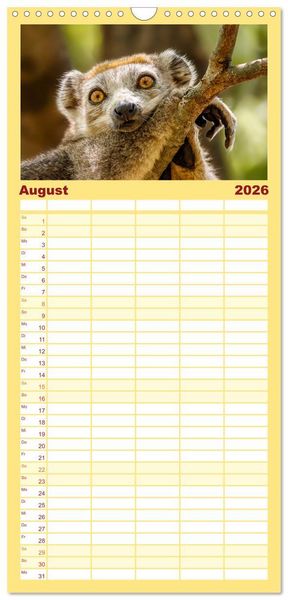 Produktbild: Familienplaner 2026 - Tierisch tolles Madagaskar - Cham&auml;leons, Lemuren und mehr mit 5 Spalten (Wandkalender, 21 x 45 cm) CALVENDO