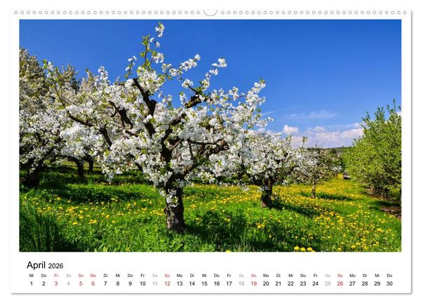 Produktbild: Bad Soden am Taunus (Wandkalender 2026 DIN A2 quer), CALVENDO Monatskalender