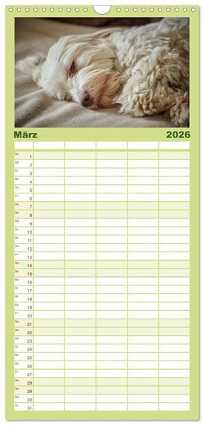 Produktbild: Familienplaner 2026 - Havaneser - Herz aus Gold mit 5 Spalten (Wandkalender, 21 x 45 cm) CALVENDO