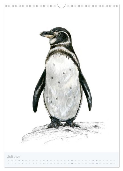 Produktbild: Pinguine - 13 Illustrationen (Wandkalender 2026 DIN A3 hoch), CALVENDO Monatskalender
