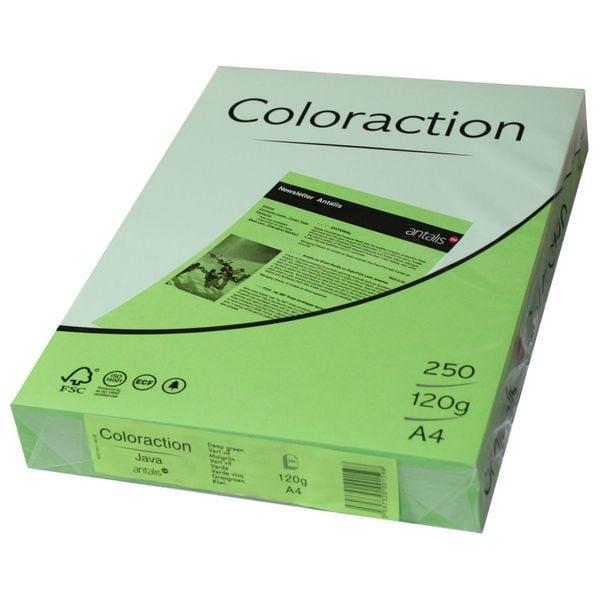 Kopierpapier image COLORACTION 120g/m² maigrün DIN A4 250 Blatt