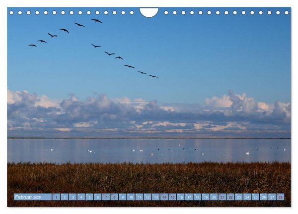 Produktbild: Stralsund und die Boddenlandschaft (Wandkalender 2026 DIN A4 quer), CALVENDO Monatskalender