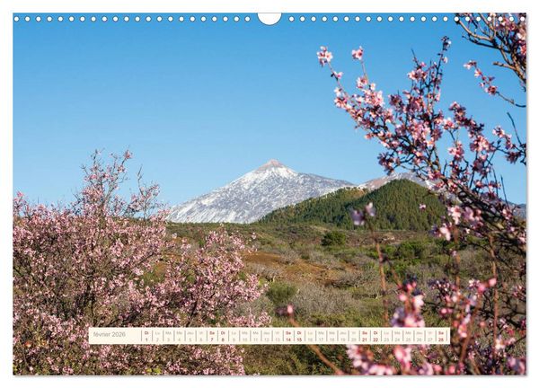 Produktbild: La Magie de T&eacute;n&eacute;riffe (Calendrier mural 2026 DIN A3 vertical), CALVENDO calendrier mensuel