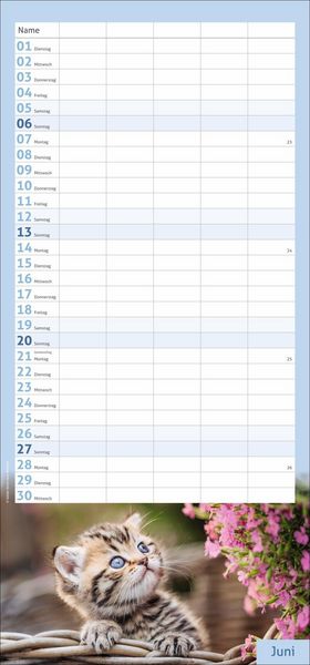 Produktbild: times&more Katzen Familienplaner 2027