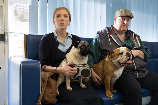 Produktbild: Ein Mops zum Verlieben