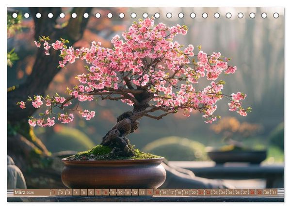 Produktbild: Bonsai meditativ (Tischkalender 2026 DIN A5 quer), CALVENDO Monatskalender
