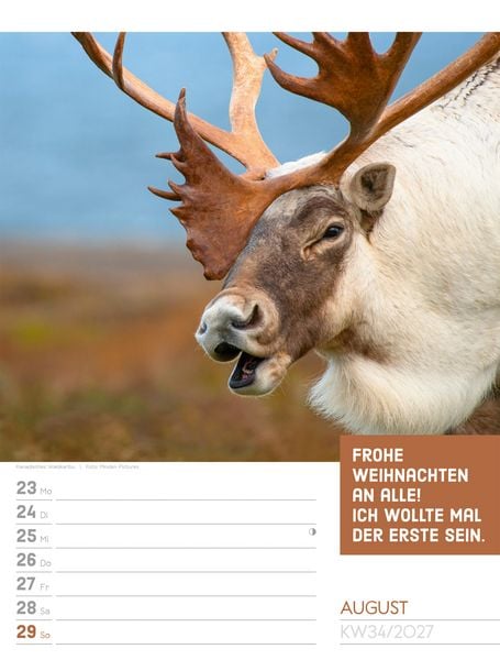 Produktbild: Tierisch Spr&uuml;chekalender Wochenplaner 2027
