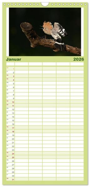 Produktbild: Familienplaner 2026 - Der Wiedehopf mit 5 Spalten (Wandkalender, 21 x 45 cm) CALVENDO