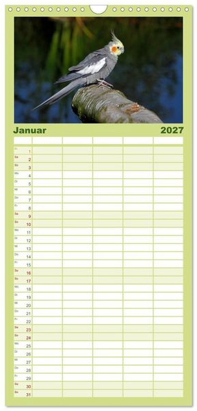 Produktbild: Familienplaner 2027 - Nymphensittiche mit 5 Spalten (Wandkalender, 21 x 45 cm) CALVENDO