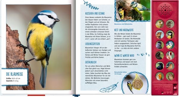 Produktbild: V&ouml;gel in unserem Garten