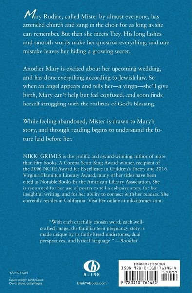 Produktbild: A Girl Named Mister