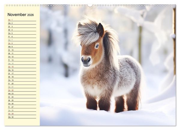 Produktbild: Kleine Pferde. Mini-Ponys zum verlieben (hochwertiger Premium Wandkalender 2026 DIN A2 quer), Kunstdruck in Hochglanz