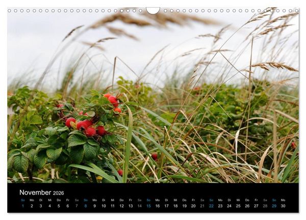 Produktbild: Ostseestrand Graal-M&uuml;ritz (Wandkalender 2026 DIN A3 quer), CALVENDO Monatskalender