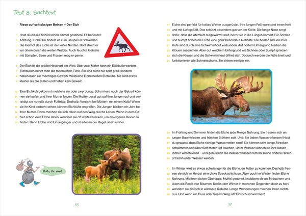 Produktbild: Fit f&uuml;r Lesetests 3. Klasse. Mein Testheft