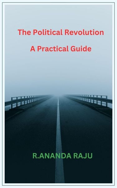 Produktbild: The Political Revolution A Practical Guide