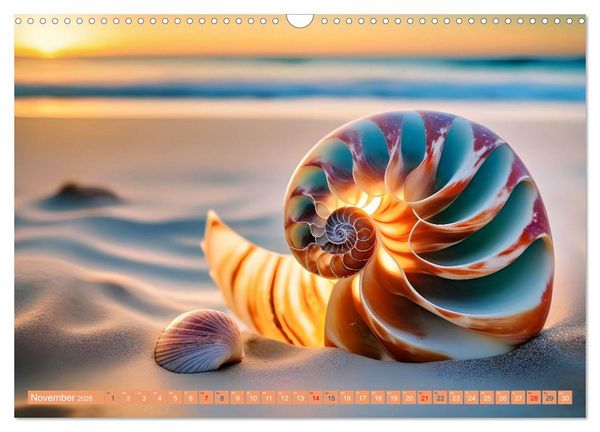 Produktbild: Faszination Muscheln (Wandkalender 2026 DIN A3 quer), CALVENDO Monatskalender