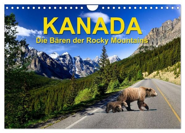 KANADA - Die Bären der Rocky Mountains (Wandkalender 2026 DIN A4 quer), CALVENDO Monatskalender