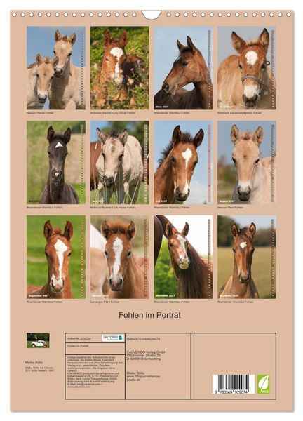 Produktbild: Fohlen im Portr&auml;t (Wandkalender 2027 DIN A3 hoch), CALVENDO Monatskalender