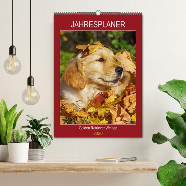 Produktbild: Jahresplaner Golden Retriever Welpen (Wandkalender 2026 DIN A2 hoch), CALVENDO Monatskalender