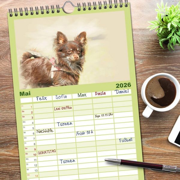 Produktbild: Familienplaner 2026 - Chihuahuas 2026 mit 5 Spalten (Wandkalender, 21 x 45 cm) CALVENDO