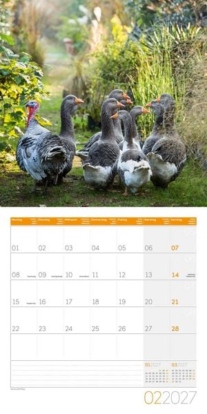 Produktbild: Landleben Kalender 2027 - 30x30 - Art12