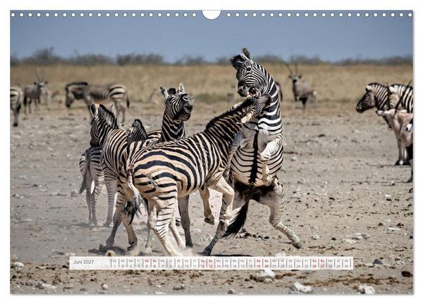 Produktbild: Namibia &ndash; Farben des Lebens (Wandkalender 2027 DIN A3 quer), CALVENDO Monatskalender