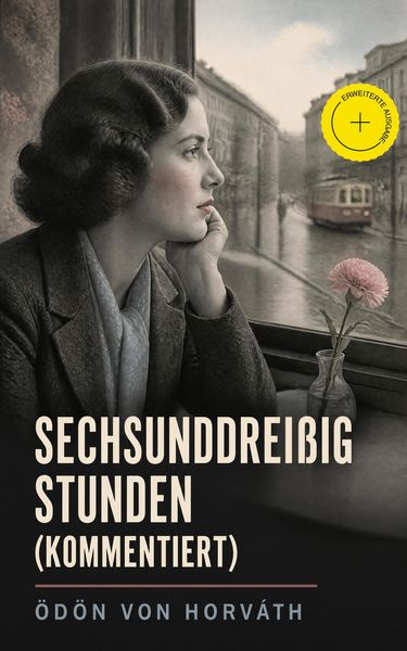 Produktbild: Sechsunddrei&szlig;ig Stunden (Kommentiert)