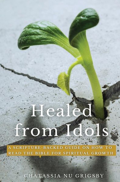 Produktbild: Healed from Idols