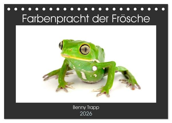 Farbenpracht der Frösche (Tischkalender 2026 DIN A5 quer), CALVENDO Monatskalender