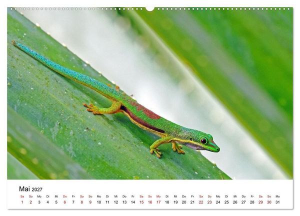 Produktbild: Blickpunkte auf Madagaskar (Wandkalender 2027 DIN A2 quer), CALVENDO Monatskalender