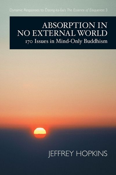 Produktbild: Absorption in No External World