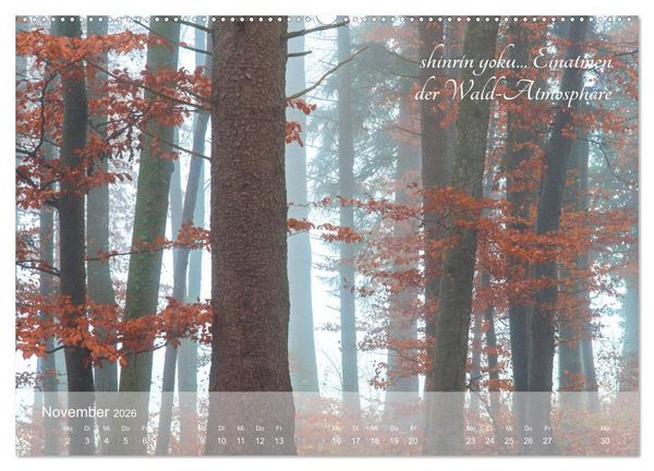 Produktbild: Shinrin yoku - Waldbaden 2026 (Wandkalender 2026 DIN A2 quer), CALVENDO Monatskalender