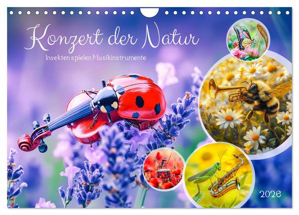 Produktbild: Konzert der Natur - Insekten spielen Musikinstrumente (Wandkalender 2026 DIN A4 quer), CALVENDO Monatskalender