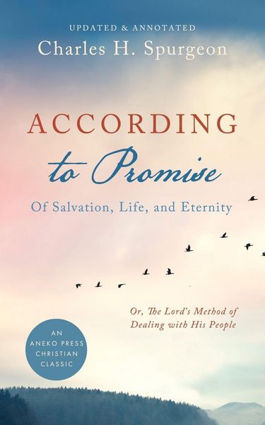 Produktbild: According to Promise