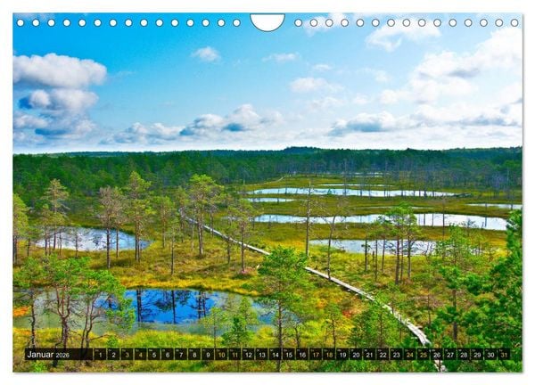 Produktbild: Bezauberndes Estland (Wandkalender 2026 DIN A4 quer), CALVENDO Monatskalender